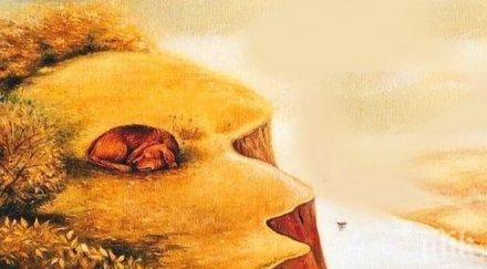 видяхте първо картината говори вас