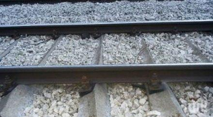 тревога ново хитрино дебне провадия