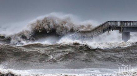 чакат бала вълнение морето