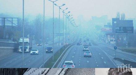 алерголог шашна зрителите съвет отваряйте редовно прозорците студа