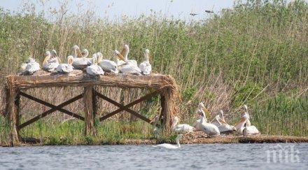 сложиха карантина езерото сребърна заради птичия грип