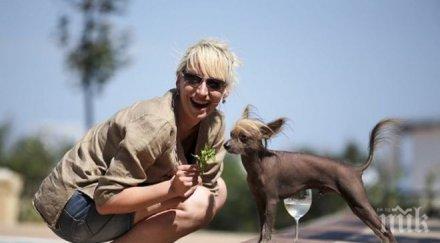 горещо мъжкият блян петя раева екзотичното куче българия