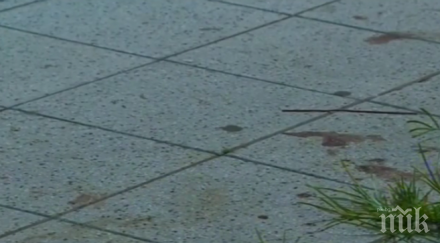 кошмар футбола стрелба ранени представяне треньор видео