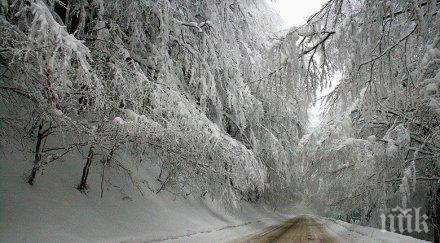 апи ограничено движението път монтана петрохан поради снегонавявания