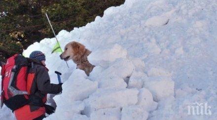 важно съвети планинските спасители попаднете криза планината