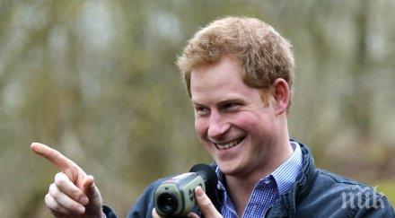 принц хари бил разбойник малък