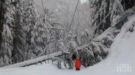 500 екипа следят аварии електропреносната мрежа