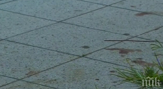 Кошмар във футбола! Стрелба и ранени при представяне на треньор (ВИДЕО)