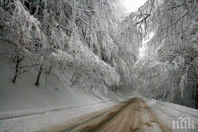 АПИ: Ограничено е движението по път II-81 Монтана - Петрохан, поради снегонавявания