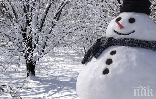 Ценни съвети как да се справим със студа