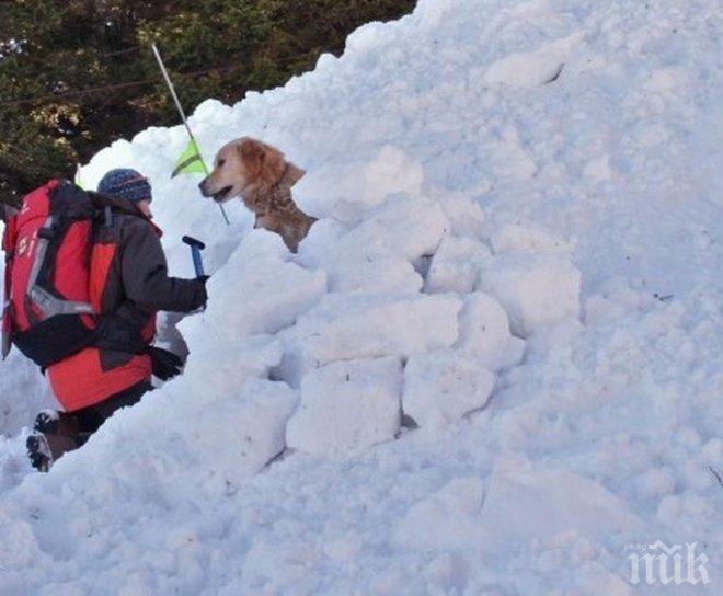 ВАЖНО! Съвети от планинските спасители, ако попаднете в криза в планината