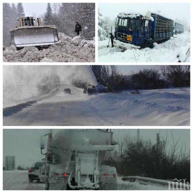 ИЗВЪНРЕДНО В ПИК! Снежна блокада в четири области! Всички пътища в Русе, Шумен, Силистра и Разград са затворени