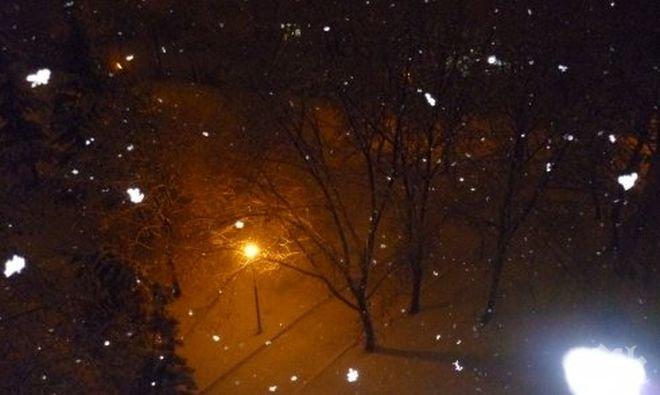 Почистен от снега е участъка на АМ „Тракия“ в областта, паднали дървета затрудняват движението по направленията Пловдив-Садово и Пловдив-Смолян