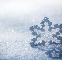 УДИВИТЕЛНО! Невероятни факти за снега, които не знаете