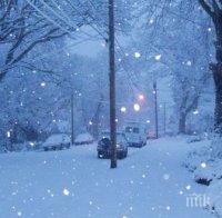 Обилният снеговалеж блокира нашенци в Румъния, пътували с 