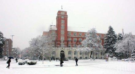 похвално плевен седмица без синя зона