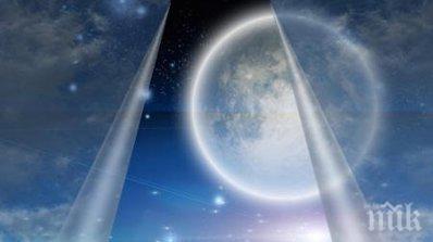 звездите говорят правете енергичен напорист секс