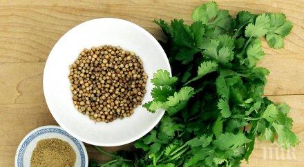 подправка детоксикира повишава мъжката потентност