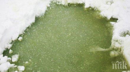 зелен лед река бистрица вдигна еколозите крак