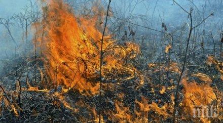 голям горки пожар застрашава град пърт