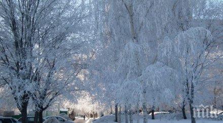 души починаха студовете полша