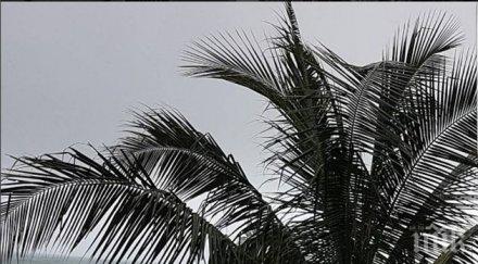 лидка скалата пече тайланд