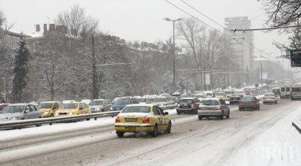 бона глоба непочистеното цариградско шосе