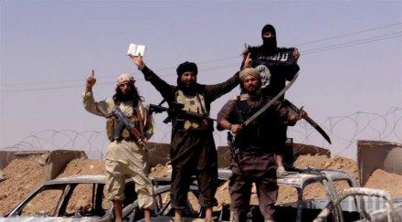 осем египетски военни загинали атентата