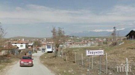 пращат лудница психаря закла майка левуново