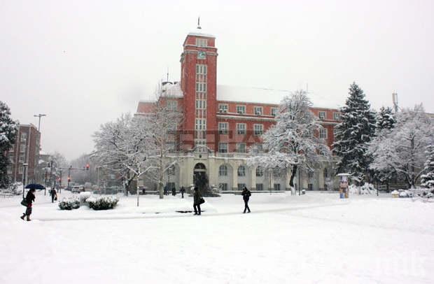 ПОХВАЛНО! И Плевен тази седмица е без „Синя зона“
