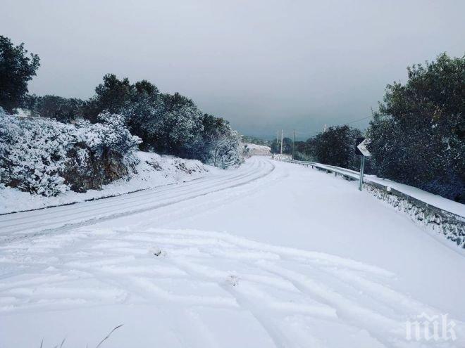 СТРАШНО ЗНАМЕНИЕ! Сбъдна се прогноза за апокалипсис на италианския Нострадамус