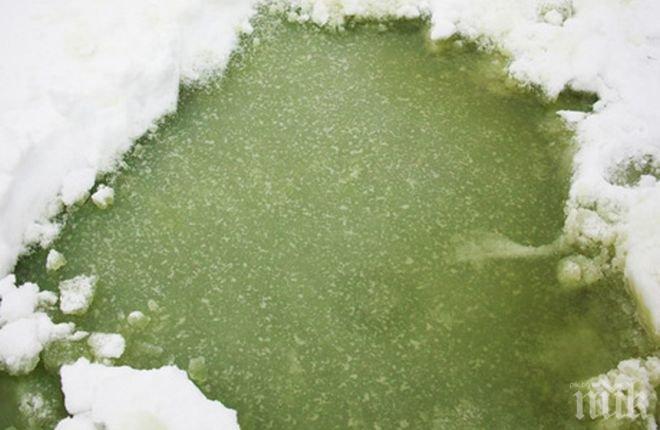 Зелен лед в река Бистрица вдигна еколозите на крак