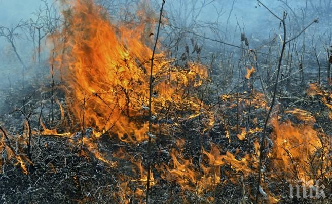 Голям горки пожар застрашава град Пърт