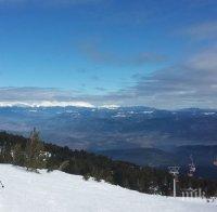 Авария! Паднал бор спря лифта край Добринище, има блокирани хора във въздуха