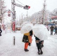 ЗАТРУПА ГИ! Заради силния снеговалеж в Япония отмениха над 70 полета 