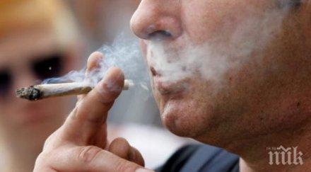 пушенето струва трилион долара годишно световната икономика