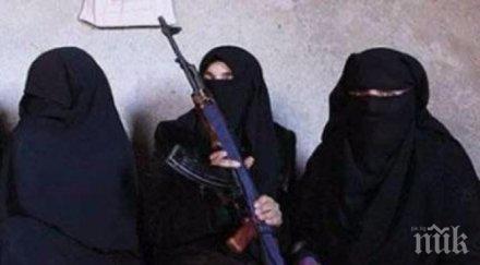 извънредно унгария спипа опасни терористки пътували софия