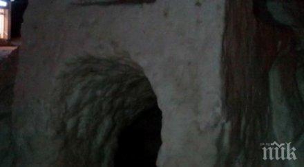 хит огромно иглу изникна центъра казанлък