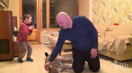 уникум баща опитоми рис гледа дома видео