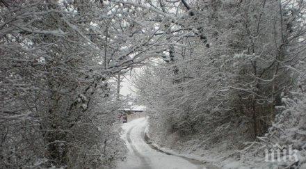 връхлита тотална аномалия времето чакат градуса събота вали… дъжд