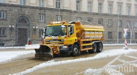 валежите спират зимата пощади градуса седмицата започва сняг вледени софия видео