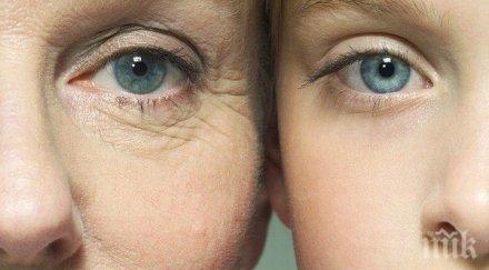 учени откриха главния фактор стареенето