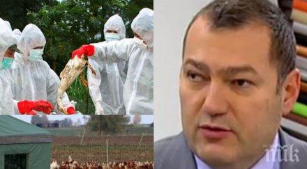 експерт стряскащо предупреждение птичият щам първо атакува болните грип