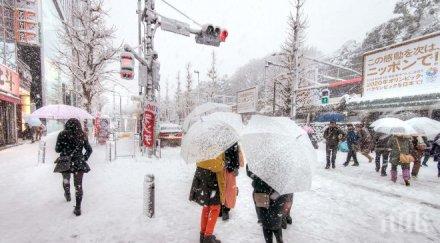 затрупа заради силния снеговалеж япония отмениха полета