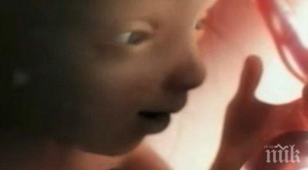 хит месеца бременност събрани минути видео