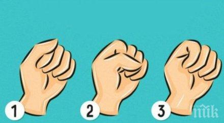 начинът свивате юмрука говори вас