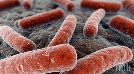 армагедон прага супербактерия взе първата човешка жертва