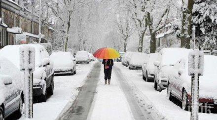 капризи времето северния полюс било топло златица кнежа