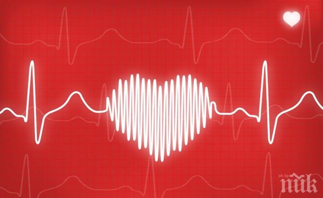 ПРОБИВ В НАУКАТА! Учени са напът да създадат сърце от стволови клетки