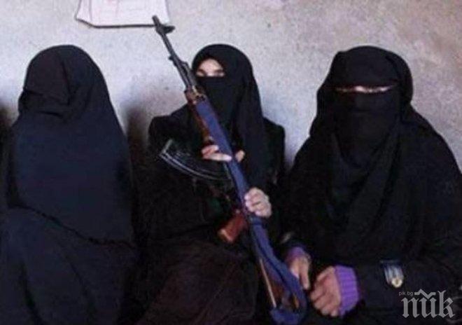 ИЗВЪНРЕДНО! Унгария спипа опасни терористки, пътували към София